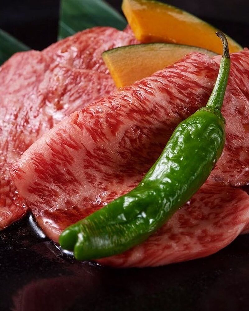 画像2554