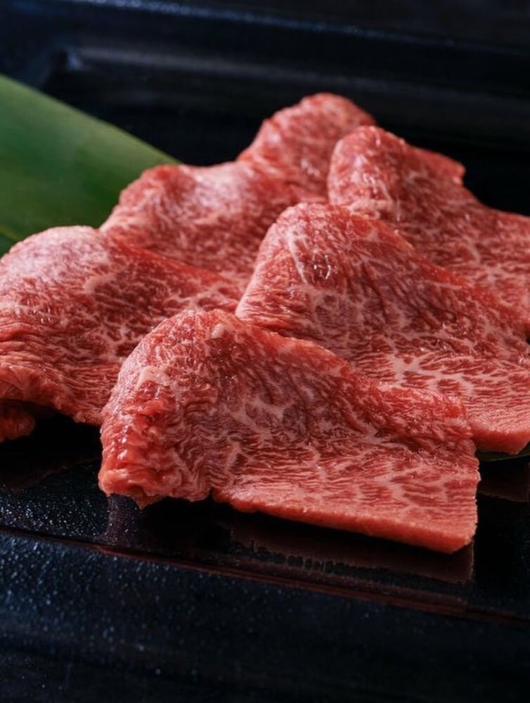 画像5095